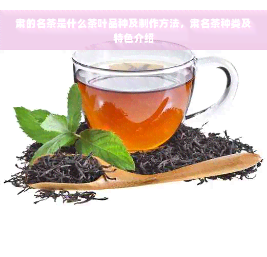 肃的名茶是什么茶叶品种及制作方法，肃名茶种类及特色介绍