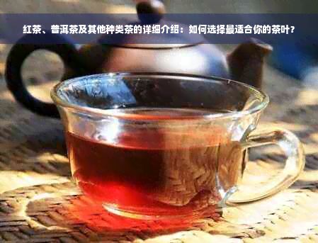 红茶、普洱茶及其他种类茶的详细介绍：如何选择最适合你的茶叶？