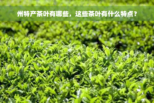 州特产茶叶有哪些，这些茶叶有什么特点？