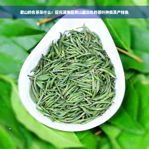 君山的名茶是什么：探究湖南阳君山最出名的茶叶种类及产特色