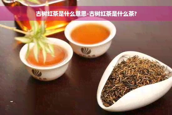 古树红茶是什么意思-古树红茶是什么茶?