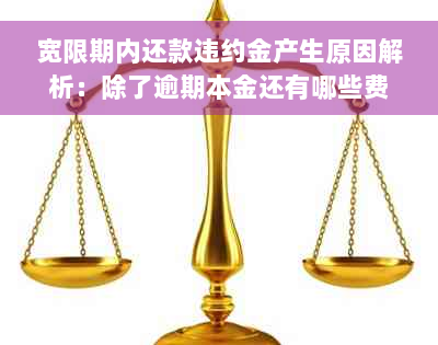 宽限期内还款违约金产生原因解析：除了逾期本金还有哪些费用需要支付？