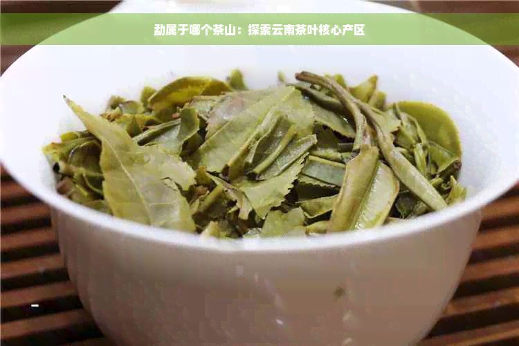 勐属于哪个茶山：探索云南茶叶核心产区