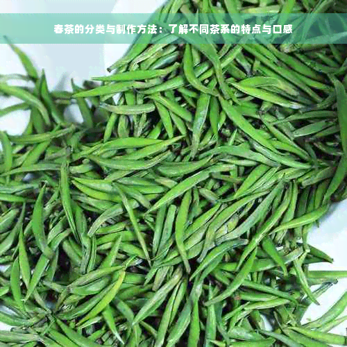 春茶的分类与制作方法：了解不同茶系的特点与口感