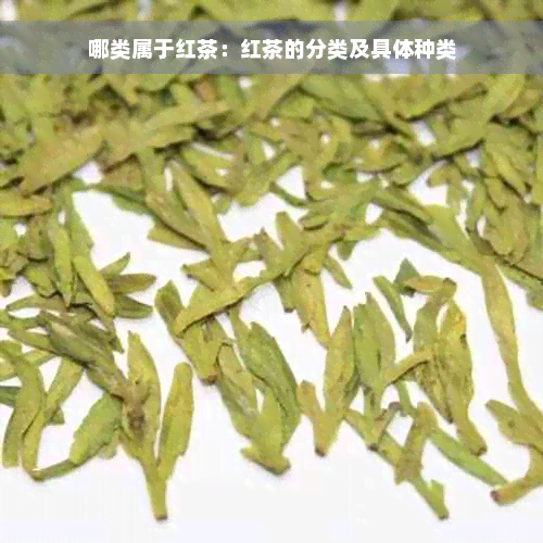 哪类属于红茶：红茶的分类及具体种类