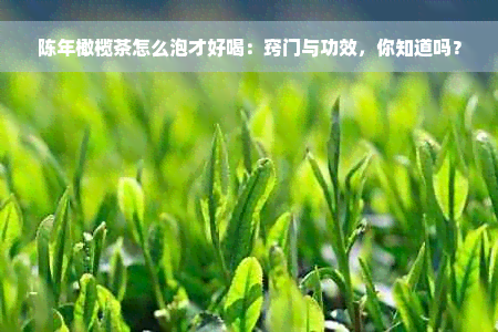 陈年橄榄茶怎么泡才好喝：窍门与功效，你知道吗？