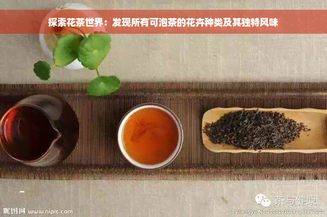 探索花茶世界：发现所有可泡茶的花卉种类及其独特风味