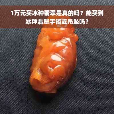 1万元买冰种翡翠是真的吗？能买到冰种翡翠手镯或吊坠吗？