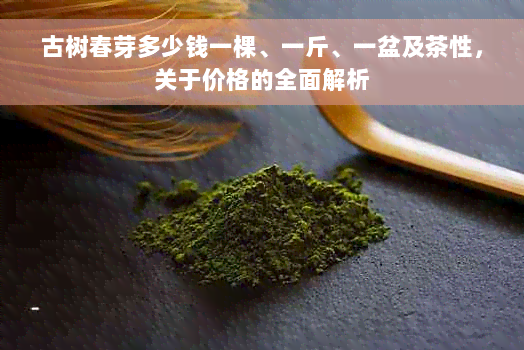 古树春芽多少钱一棵、一斤、一盆及茶性，关于价格的全面解析