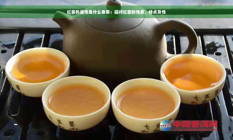 红茶的属性是什么意思：探讨红茶的性质、特点及性