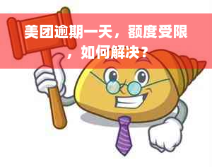 美团逾期一天，额度受限，如何解决？