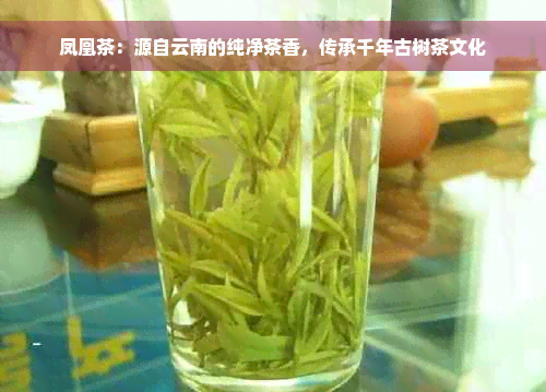 凤凰茶：源自云南的纯净茶香，传承千年古树茶文化