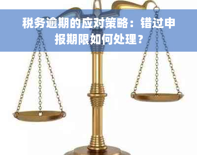 税务逾期的应对策略：错过申报期限如何处理？