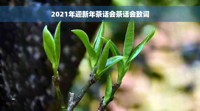 2021年迎新年茶话会茶话会致词