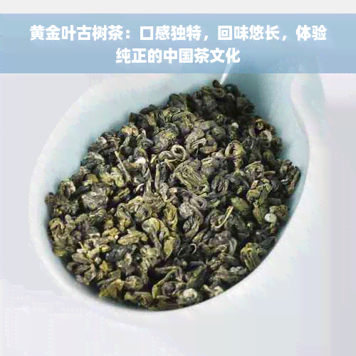 黄金叶古树茶：口感独特，回味悠长，体验纯正的中国茶文化