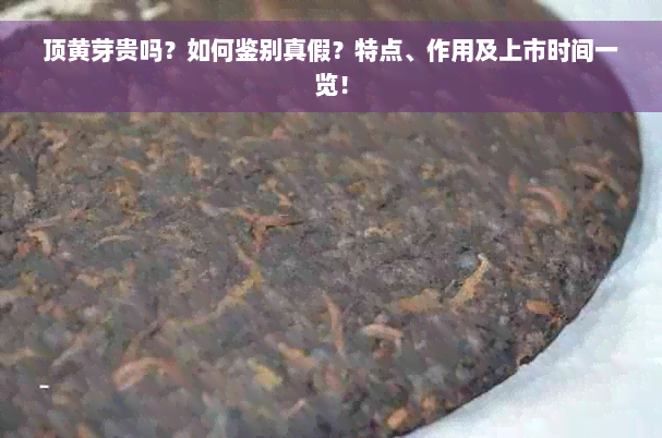 顶黄芽贵吗？如何鉴别真假？特点、作用及上市时间一览！