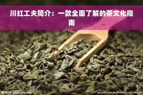 川红工夫简介：一款全面了解的茶文化指南