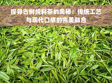 探寻古树纯料茶的奥秘：传统工艺与现代口感的完美融合