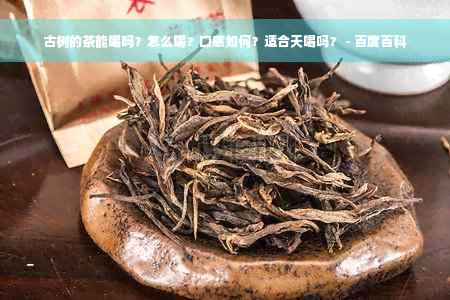 古树的茶能喝吗？怎么喝？口感如何？适合天喝吗？ - 百度百科