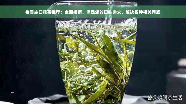 老同志口粮茶推荐：全面指南，满足您的口味需求，解决各种相关问题