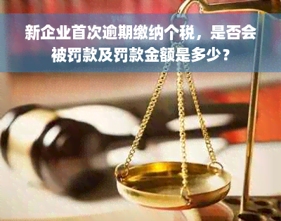 新企业首次逾期缴纳个税，是否会被罚款及罚款金额是多少？