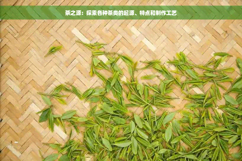 茶之源：探索各种茶类的起源、特点和制作工艺