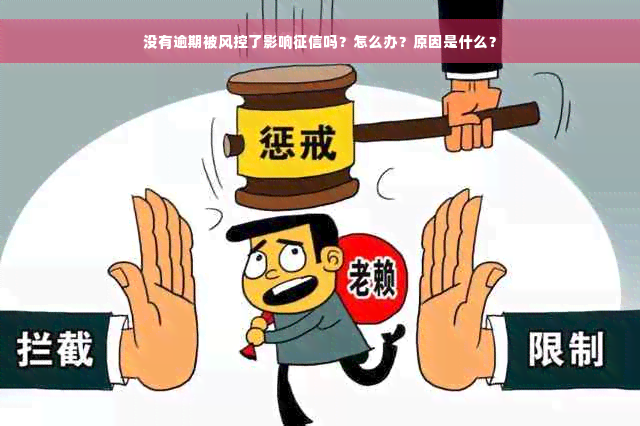 没有逾期被风控了影响征信吗？怎么办？原因是什么？