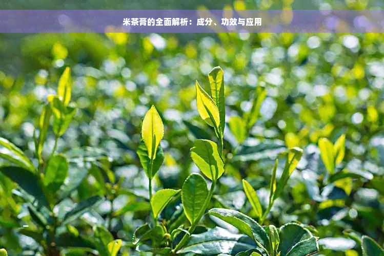 米茶膏的全面解析：成分、功效与应用