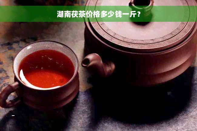 湖南茯茶价格多少钱一斤？