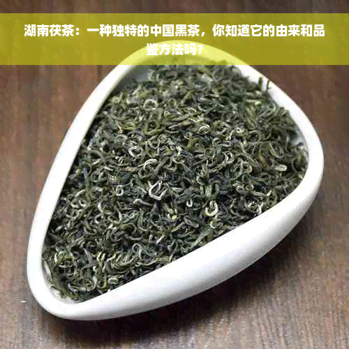 湖南茯茶：一种独特的中国黑茶，你知道它的由来和品鉴方法吗？