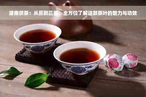 湖南茯茶：从历到品鉴，全方位了解这款茶叶的魅力与功效