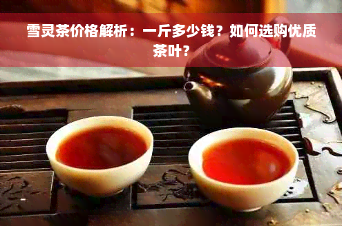 雪灵茶价格解析：一斤多少钱？如何选购优质茶叶？