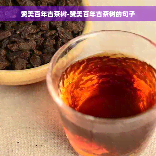 赞美百年古茶树-赞美百年古茶树的句子