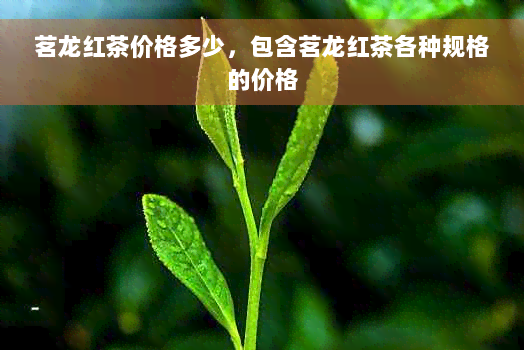 茗龙红茶价格多少，包含茗龙红茶各种规格的价格