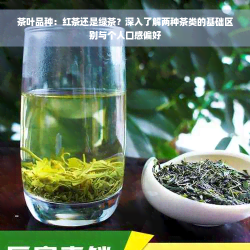 茶叶品种：红茶还是绿茶？深入了解两种茶类的基础区别与个人口感偏好