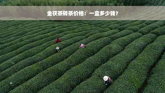 金茯茶砖茶价格：一盒多少钱？