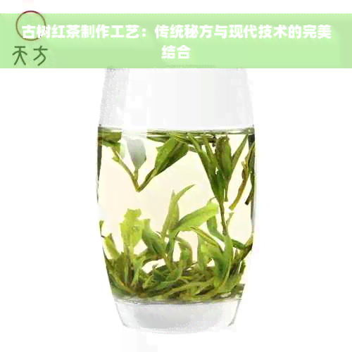 古树红茶制作工艺：传统秘方与现代技术的完美结合