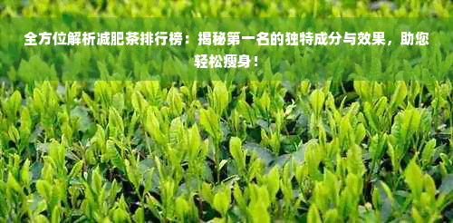 全方位解析减肥茶排行榜：揭秘之一名的独特成分与效果，助您轻松瘦身！