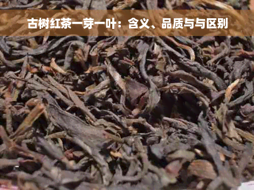 古树红茶一芽一叶：含义、品质与与区别