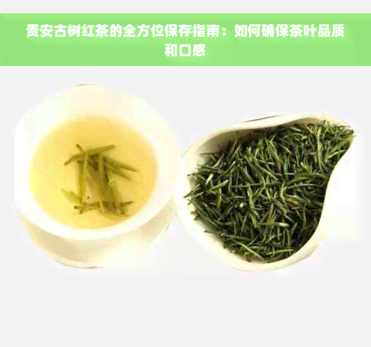 贵安古树红茶的全方位保存指南：如何确保茶叶品质和口感