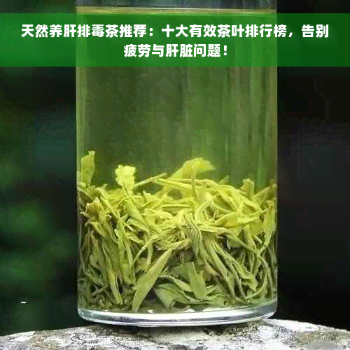 天然养肝排毒茶推荐：十大有效茶叶排行榜，告别疲劳与肝脏问题！