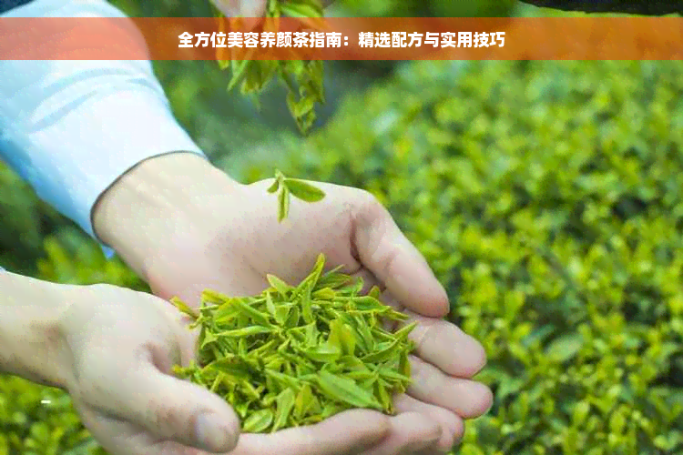 全方位美容养颜茶指南：精选配方与实用技巧