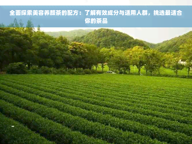 全面探索美容养颜茶的配方：了解有效成分与适用人群，挑选最适合你的茶品