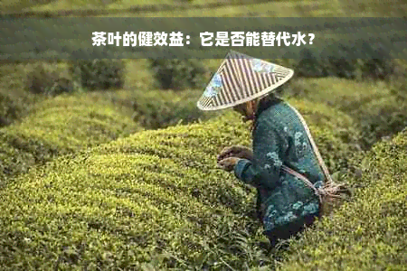 茶叶的健效益：它是否能替代水？