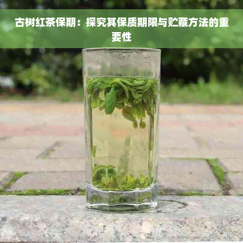 古树红茶保期：探究其保质期限与贮藏方法的重要性