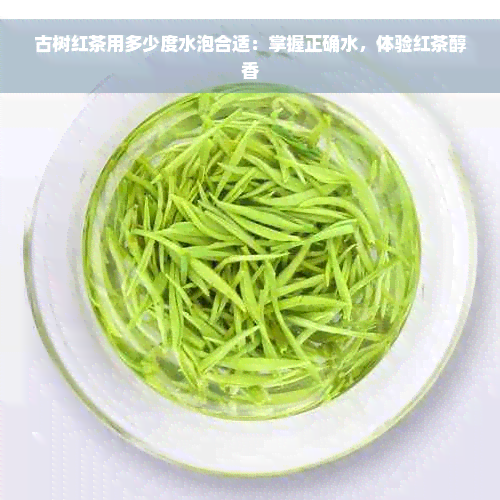 古树红茶用多少度水泡合适：掌握正确水，体验红茶醇香