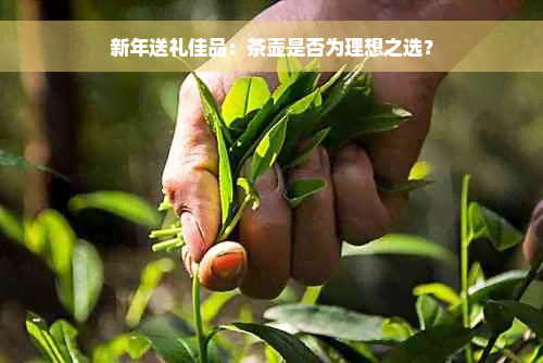 新年送礼佳品：茶壶是否为理想之选？