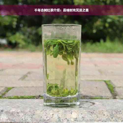 千年古树红茶介绍：品味时光沉淀之美