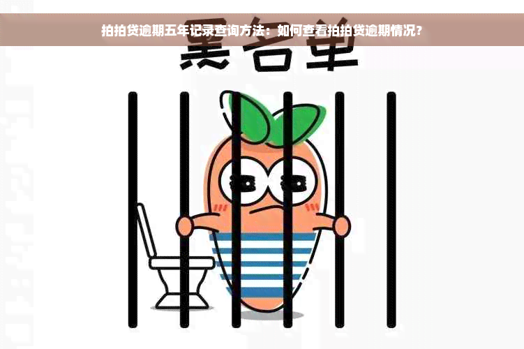 拍拍贷逾期五年记录查询方法：如何查看拍拍贷逾期情况？