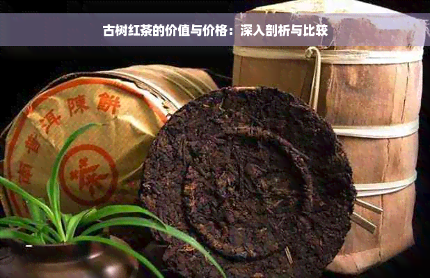 古树红茶的价值与价格：深入剖析与比较